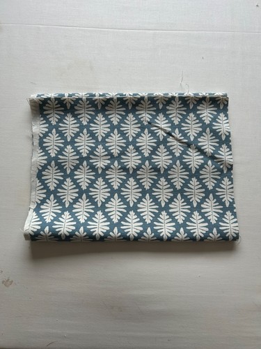 Little fern cornflower - in, by